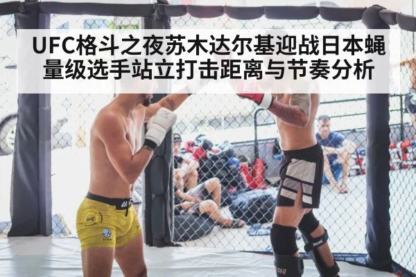 UFC格斗之夜苏木达尔基迎战日本蝇量级选手站立打击距离与节奏分析